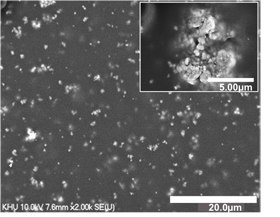This electron microscope image shows tiny nanoparticles of bismuth ferrite embedded in a polymer film. The film enhances the unique electric and magnetic properties of bismuth ferrite and preserves these properties even when bent. IMAGE CREDIT -- YoungPak Lee/ Hanyang University This electron microscope image shows tiny nanoparticles of bismuth ferrite embedded in a polymer film. The film enhances the unique electric and magnetic properties of bismuth ferrite and preserves these properties even when bent. IMAGE CREDIT -- YoungPak Lee/ Hanyang University