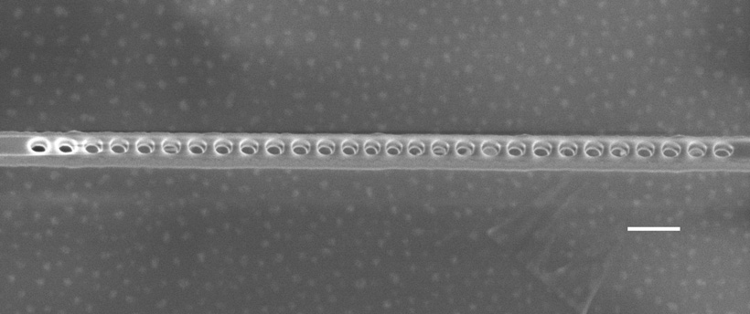 A scanning electron microscope image of the diamond photonic cavity shows the nanoscale holes etched through the layer containing NV centers. The scale bar indicates 200 nanometers. <br/>CREDIT: Evelyn Hu/Harvard A scanning electron microscope image of the diamond photonic cavity