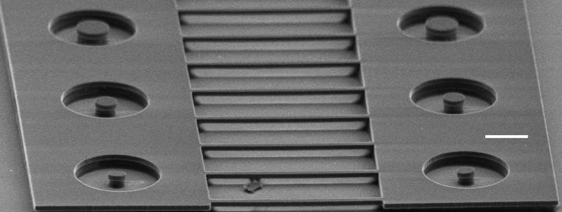 An array of microdisks and nanobeam photonic cavities formed from a single crystal diamond membrane. The scale bar indicates 2 microns. <br/>CREDIT: Evelyn Hu/Harvard An array of microdisks and nanobeam photonic cavities