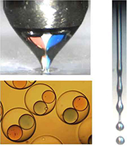 A new device creates tiny capsules filled with multiple inner droplets by funneling different ingredients through two inner needles. As all the ingredients exit the needles through a single nozzle, a high-speed gas forces the liquids into a narrow stream that breaks up into individual droplets. CREDIT -- Ronald Xu/The Ohio State University