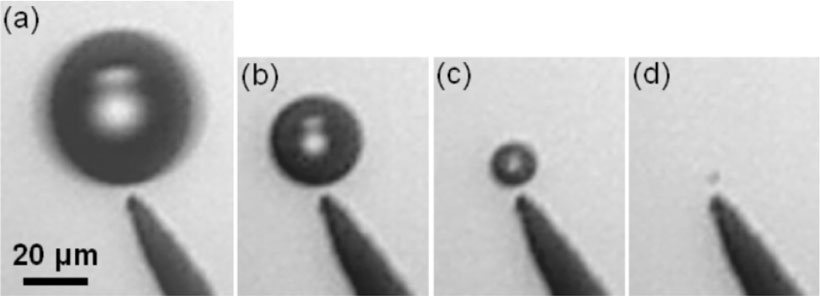 Immobilized bubble, slowly decreasing with time (Vm = 3.43 V, v =1000 Hz): t=0 (a), t=2 min 6 s (b), t=3 min 55 s (c) and t=4 min 33 s (d). Same scale for all the images.