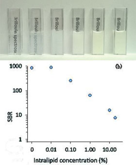 All-optical mechanical measurement of tissue