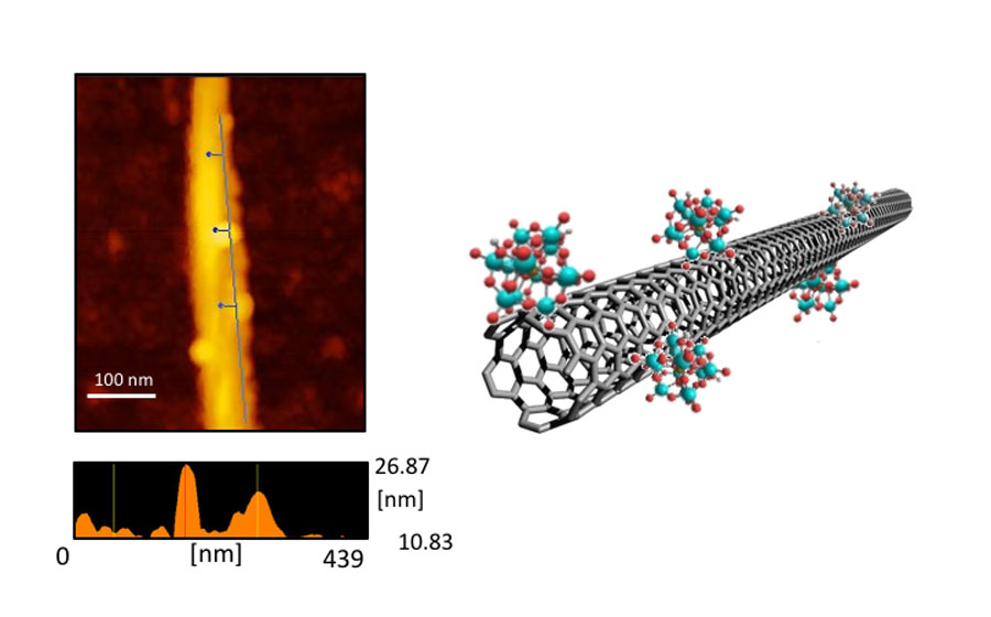 Researchers have demonstrated that functionalizing SWNTs with phosphomolybdic acid generates a large and tunable type of electrical noise that could be used to develop future SR devices. <br/>CREDIT: Megumi Akai-Kasaya Researchers have demonstrated that functionalizing SWNTs with phosphomolybdic acid generates a large and tunable type of electrical noise that could be used to develop future SR devices. Credit: Megumi Akai-Kasaya