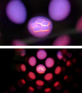 Diamond plates undergoing surface termination treatment in a hydrogen plasma.  Credit: Daniel Creedon