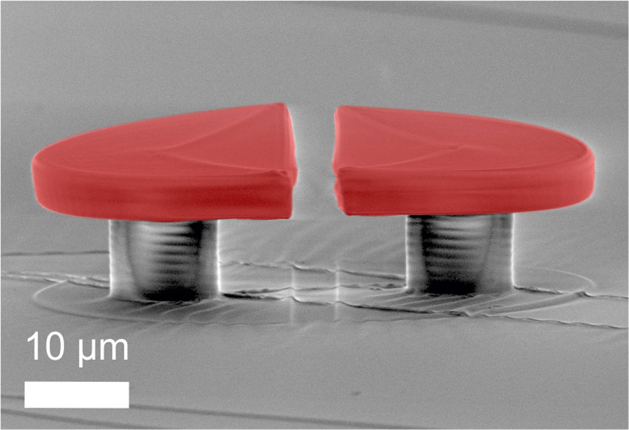 <br/>Scanning electron micrograph of a polymeric WGM split-disk cavity: Two opposing half-disks (R=25µm) with an intermediate air gap of several microns are structured onto an elastomeric PDMS substrate with direct laser writing. <br/>CREDIT: Tobias Siegle, Karlsruhe Institute of Technology Scanning electron micrograph of a polymeric WGM split-disk cavity: Two opposing half-disks (R=25µm) with an intermediate air gap of several microns are structured onto an elastomeric PDMS substrate with direct laser writing. Credit: Tobias Siegle, Karlsruhe Institute of Technology