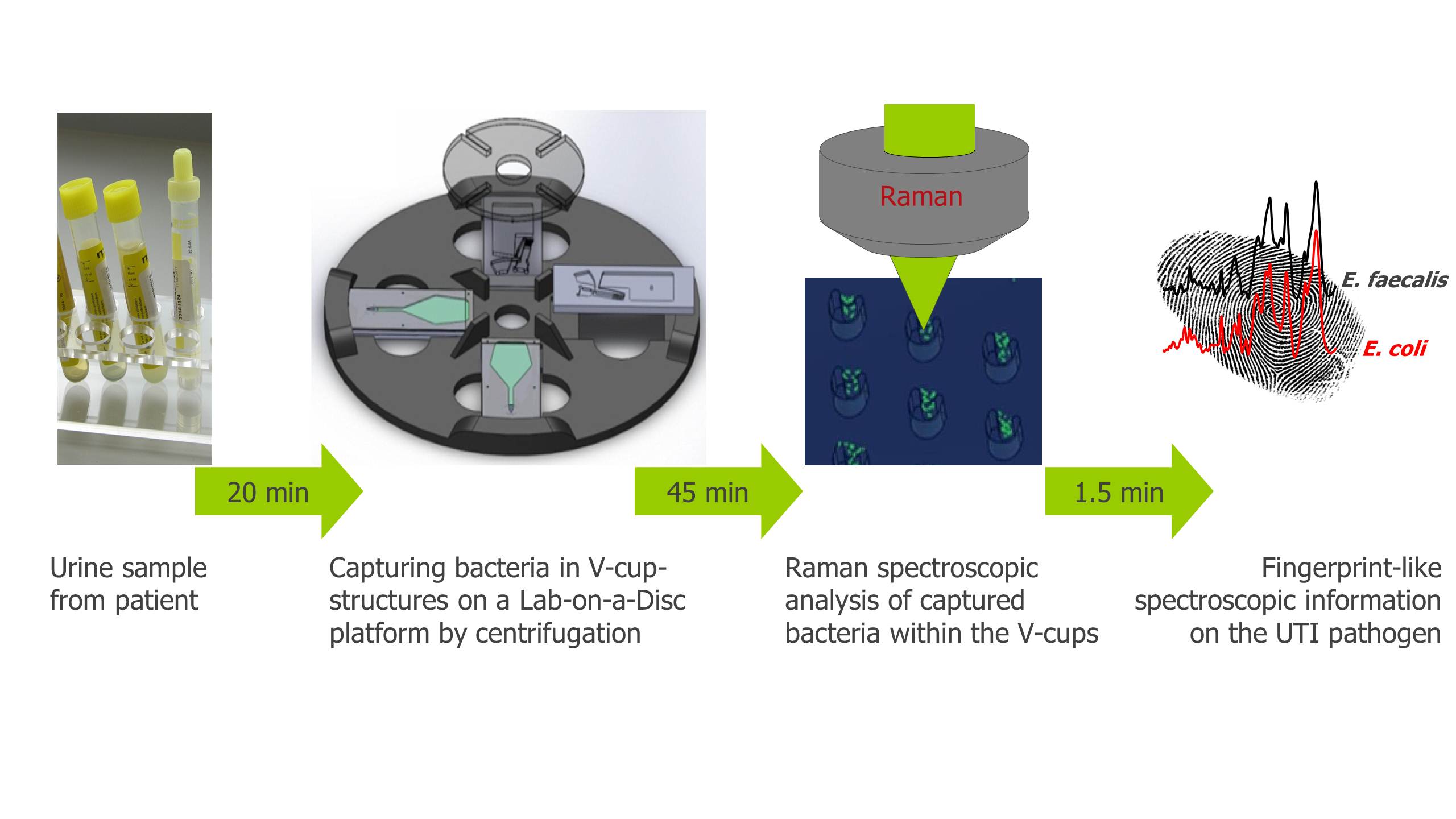 This image shows the workflow of the Lab-on-a-Disc device. <br/>CREDIT: Ute Neugebauer/Jena University Hospital This image shows the workflow of the Lab-on-a-Disc device.Credit-Ute Neugebauer/ Jena University Hospital