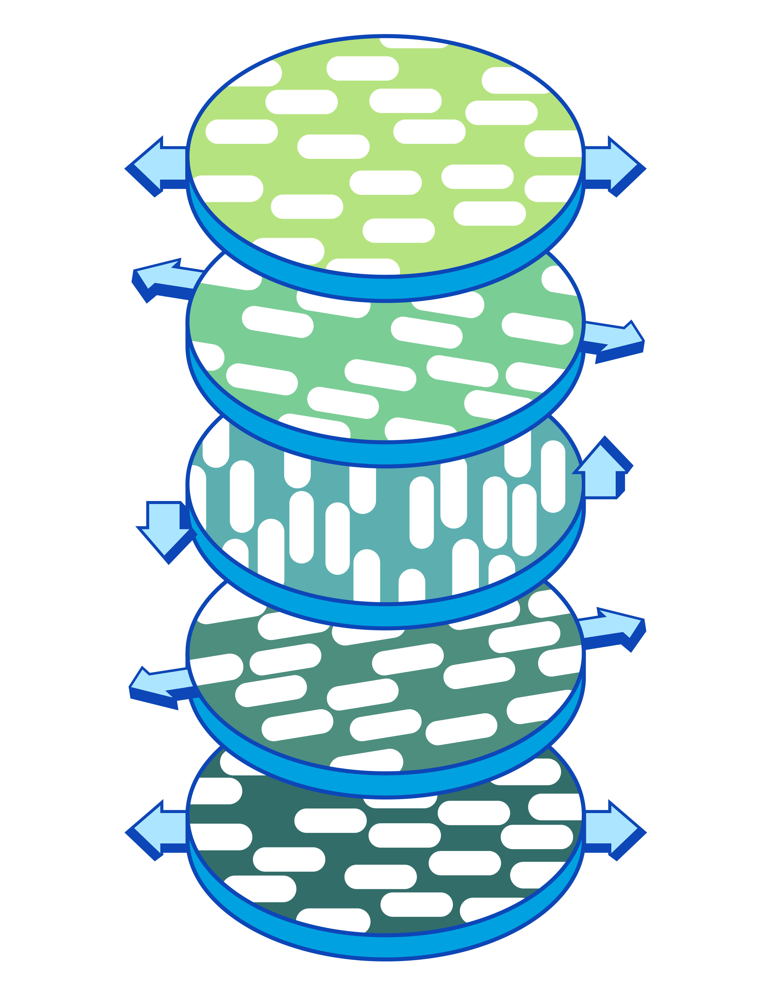 A schematic of cellulose fibers in the cholesteric phase. The fibers in a single layer align in a single direction. Travelling through multiple layers, the axis of orientation of the fibers spins in a circle. Credit--Abigail Malate A schematic of cellulose fibers in the cholesteric phase. The fibers in a single layer align in a single direction. Travelling through multiple layers, the axis of orientation of the fibers spins in a circle.
