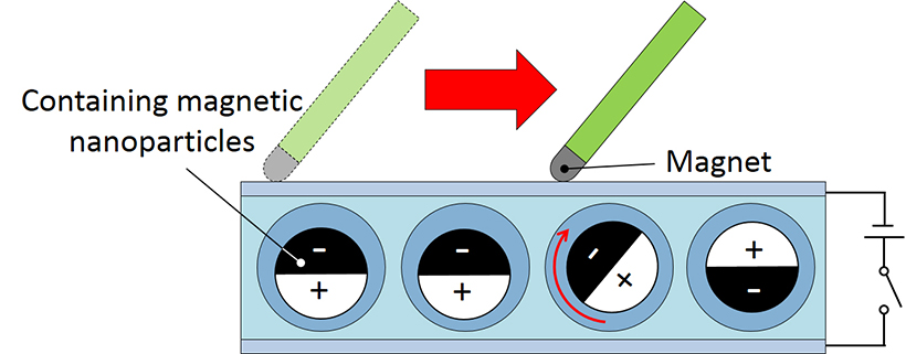 The black side of the microparticles contains magnetic nanoparticles that make it possible to write on the screen. A magnet pulled across the surface of the white display attracts the black side and the balls flip to face the magnet. <br/>CREDIT: Yusuke Komazaki/ University of Tokyo The black side of the microparticles contains magnetic nanoparticles that make it possible to write on the screen. A magnet pulled across the surface of the white display attracts the black side and the balls flip to face the magnet. Credit -- Yusuke Komazaki/ University of Tokyo