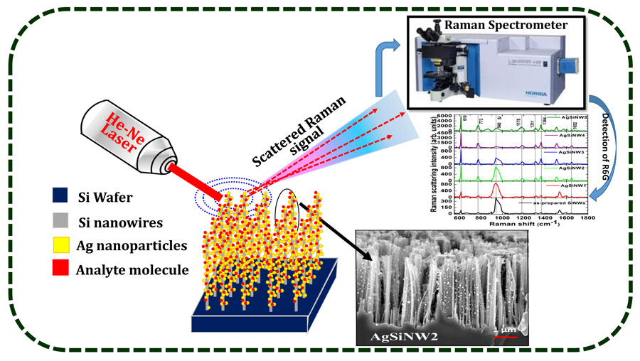 Detection of a low concentration analyte molecule using silicon nanowires decorated with silver nanoparticles and surface enhanced Raman scattering measurements. <br/>CREDIT: V.S. Vendamani Detection of a low concentration analyte molecule using silicon nanowires decorated with silver nanoparticles and surface enhanced Raman scattering measurements. CREDIT: V.S. Vendamani