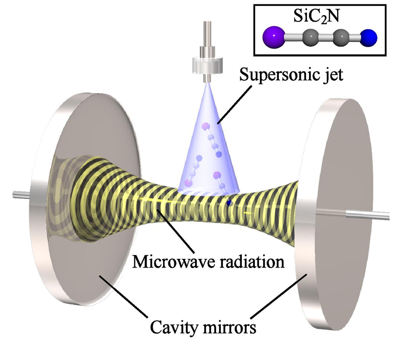 Schematic figure of experiment