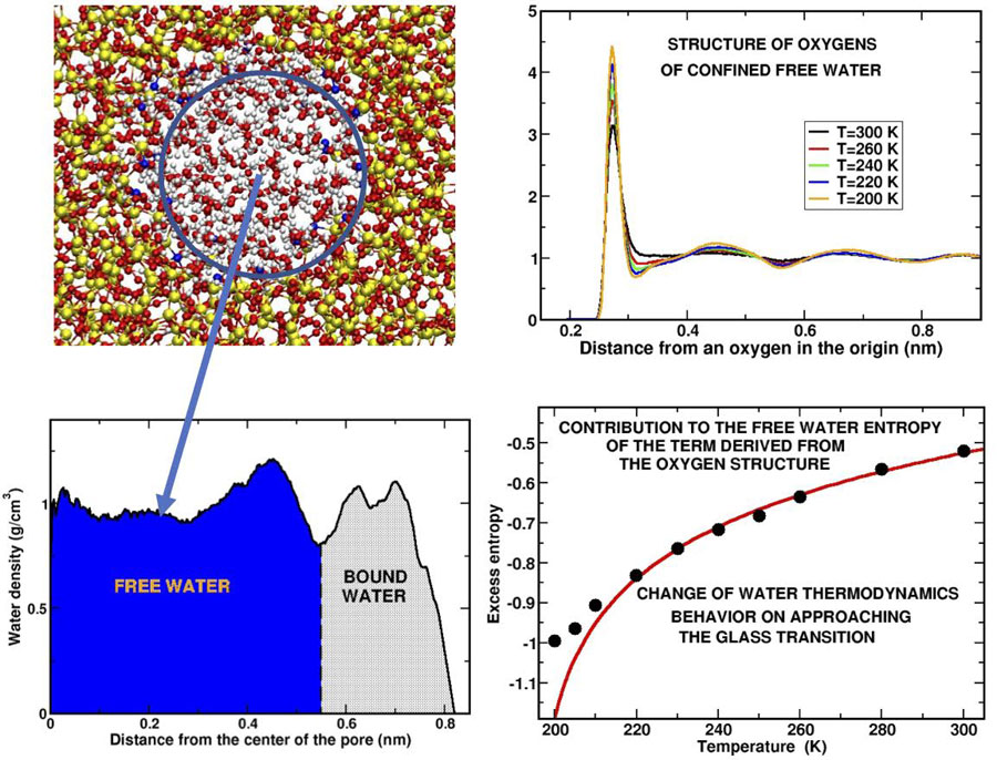 <br/>Top left panel: Snapshot of a slice of water confined in the silica pore. The blue circle contains the “free water,” the water molecules that are not in contact with the substrate. <br/>Bottom left panel: Density profile of the water molecules along the pore radius. The regions occupied respectively by the free water and the “bound water,” water attached to the substrate, are indicated. <br/>Top right panel: The curves represent how the oxygen atoms of the molecules are arranged in shells around a given oxygen atom in the origin at different temperatures. The peaks represent the positions where the different shells are located. The structure is shown for some of the supercooled temperatures investigated. <br/>Bottom right panel: The main result of our computer simulation is given by the behavior of the excess entropy, a fraction of the total entropy, obtained from the oxygen structure of free water. The deviation of the calculated black points from the theoretical (red) curve indicates that water undergoes a change of behavior before and upon approaching the glass transition. <br/>CREDIT: Margherita De Marzio, Gaia Camisasca, Maria Martin Conde, Mauro Rovere and Paola Gallo Top left panel: Snapshot of a slice of water confined in the silica pore. The blue circle contains the “free water,” the water molecules that are not in contact with the substrate. Bottom left panel: Density profile of the water molecules along the pore radius. The regions occupied respectively by the free water and the “bound water,” water attached to the substrate, are indicated. Top right panel: The curves represent how the oxygen atoms of the molecules are arranged in shells around a given oxygen atom in the origin at different temperatures. The peaks represent the positions where the different shells are located. The structure is shown for some of the supercooled temperatures investigated. Bottom right panel: The main result of our computer simulation is given by the behavior of the excess entropy, a fraction of the total entropy, obtained from the oxygen structure of free water. The deviation of the calculated black points from the theoretical (red) curve indicates that water undergoes a change of behavior before and upon approaching the glass transition. CREDIT: Margherita De Marzio, Gaia Camisasca, Maria Martin Conde, Mauro Rovere and Paola Gallo