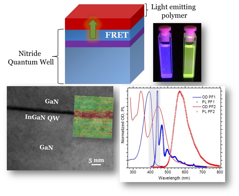(Top left) Schematic of Förster Resonant Energy Transfer from a near-surface nitride quantum well to a polymer overlayer. <br/>(Top right) Fluorescence from solutions containing light emitting polymer materials. <br/>(Bottom left) High resolution transmission electron microscope image from an InGaN/GaN quantum well. <br/>(Bottom right) Absorption and fluorescence spectra from various polymers used in our study. <br/>CREDIT: Grigorios Itskos/University of Cyprus Förster Resonant Energy Transfer from a Nitride Quantum Well to a Light Emitting Polymer