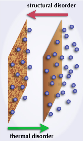 Disorder can promote order