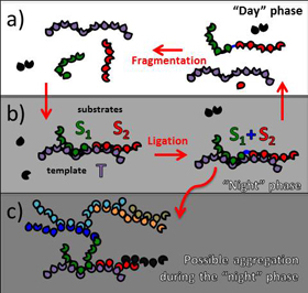 A schematic drawing of template-assisted ligation, shown in this model to give rise to autocatalytic system