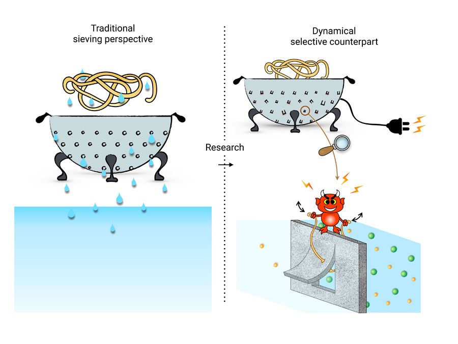 To separate molecules usually a “colander” type of filter is used (Left side). A new type of filter, where the holes of the sieve can be activated is explored. (Right side) Thanks to an external power input, the holes of the sieve (here doors) can be opened and closed. This power input plays the role of a crazy Maxwell Demon -- similar to a bouncer. <br/>CREDIT: Sophie Marbach To separate molecules usually a “colander” type of filter is used (Left side). A new type of filter, where the holes of the sieve can be activated is explored. (Right side) Thanks to an external power input, the holes of the sieve (here doors) can be opened and closed. This power input plays the role of a crazy Maxwell Demon -- similar to a bouncer. Credit: Sophie Marbach