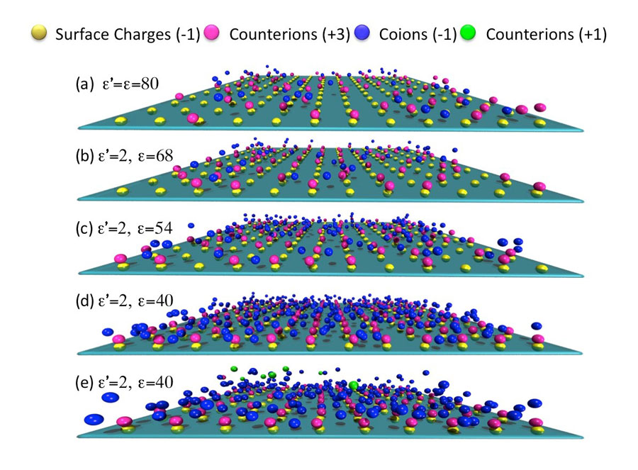 Snapshots for the distribution of ions near a negatively charged planar surface at different dielectric contrasts. <br/>CREDIT: Jianzhong Wu, University of California, Riverside Snapshots for the distribution of ions near a negatively charged planar surface at different dielectric contrasts. Credit: Jianzhong Wu, University of California, Riverside