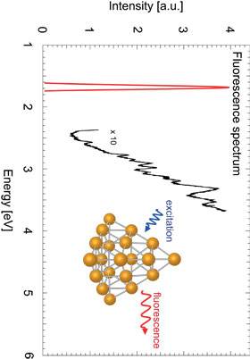 Au20 absorption data: The researchers found that excitation within the entire UV-to-visible range leads to intense and sharp fluorescence at a wavelength of 739.2 nm (1.68 eV). Credit: Brune 