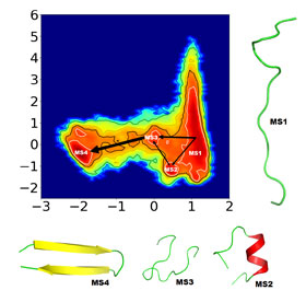 The four novel intermediate folding states (MS1-4) identified by the team are shown here, along with the possible connecting pathways. The thickness of the interconnecting arrows reflect the likelihood that pathway occurs. CREDIT: Navjeet Ahalawat and Jagannath Mondal