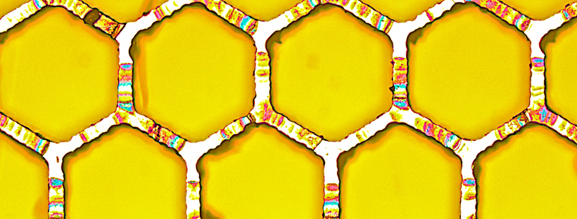 Micrograph of the W-grid used as gate in the test generator. The holes have a diameter of ~0.6 mm.