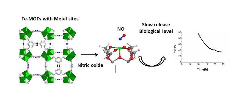 <br/>Left: The crystal structure of a porous iron carboxylate MOF (iron octahedra, oxygen, carbon and hydrogen atoms are in green, red, black and white, respectively) <br/>Center: Binding of a NO molecule over an iron site <br/>Right: Kinetics of delivery of NO (inset at the biological level) triggered by water <br/>CREDIT: Serre/Institut Lavoisier schematic representation of the use of porous iron carboxylate for the controled delivery of Nitric Oxide