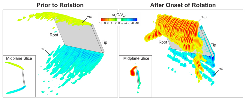 The left image represents a non-rotating wing in the presence of incident flow; it exhibits a stalled state. The right image, taken shortly after the onset of rotation (at 36 degrees), shows a stable, lift-generating flow structure. <br/>CREDIT: Matthew Bross Wings and rotation