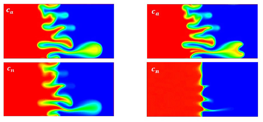 Countours of c<sub>a</sub> and c<sub>n</sub> at two nanoparticle deposition rates at t=400 <br/>CREDIT: Dastvareh and Jalel Azaiez Countours of c_a and c_n at two nanoparticle deposition rates at t=400 Credit: Dastvareh and Jalel Azaiez