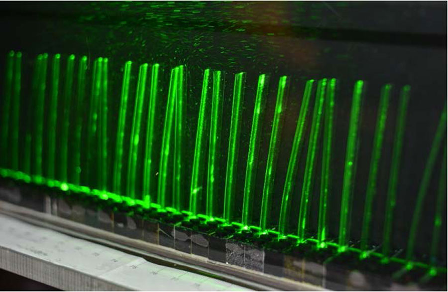This array of thin, plastic strips inside a water tank simulates the swaying of aquatic plants. <br/>CREDIT: Sylvie Barsu/Lyon University This array of thin, plastic strips inside a water tank simulates the swaying of aquatic plants. Credit: Sylvie Barsu/Lyon University