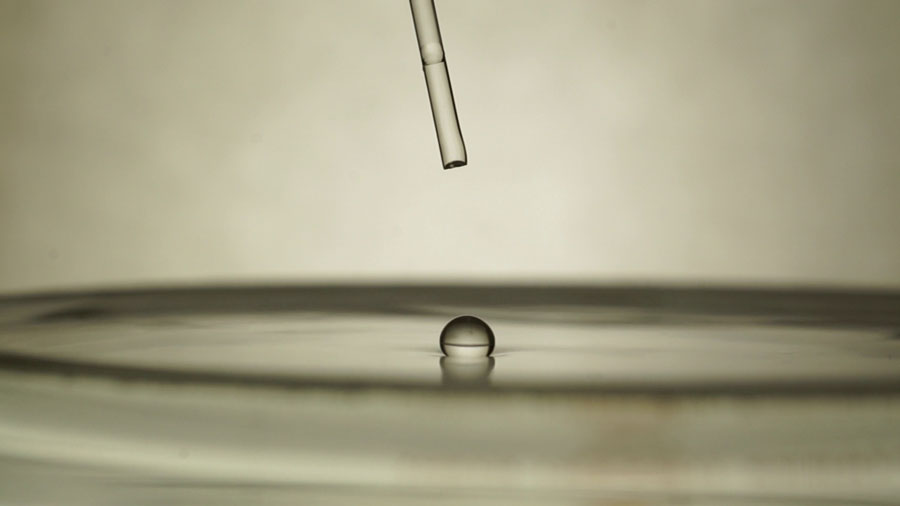 A 2-mm diameter acetone droplet in the Leidenfrost state on a 70℃ water bath. <br/>CREDIT: Stoffel D. Janssens A 2-mm diameter acetone droplet in the Leidenfrost state on a 70℃ water bath. Credit: Stoffel D. Janssens