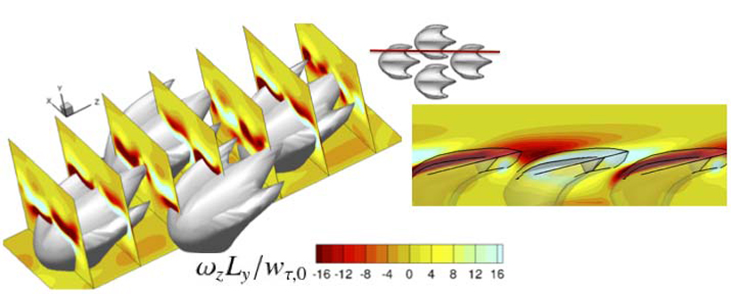 Computer simulations unveil flow around sharkskin <br/>CREDIT: A. Boomsma & F. Sotiropoulos/UMN Computer simulations unveil flow around sharkskin