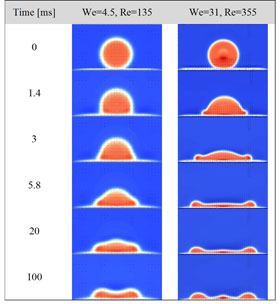 Time elapsed images of the LBM simulations Credit: Ebrahim et al.
