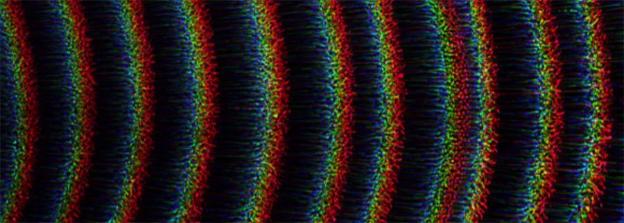 A self-excited dust density wave <br/>CREDIT: Jaiswal et al. A self-excited dust density wave Credit: Jaiswal et al.