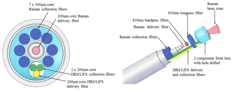 The left panel of this schematic shows the front view of the 3-in-1 spectroscopy probe. The right panel shows an exploded view of the probe assembly with the optical elements, such as the filters, fibers, and front lens identified. <br/>CREDIT: E.Marple/EmVision LLC Schematic of the 3-in-1 cancer probe