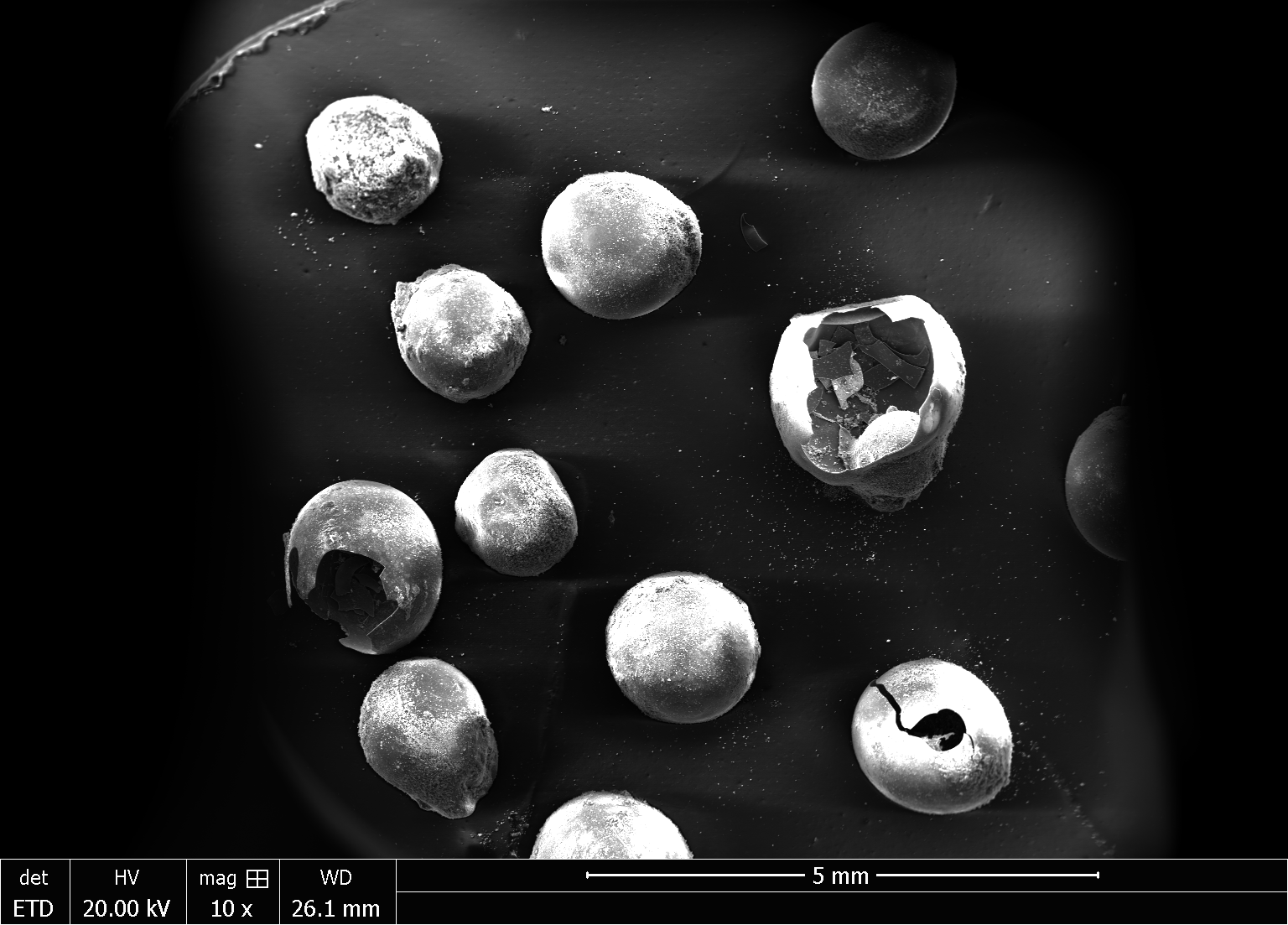 Scanning electron microscopy image of hollow spheres made from sucrose. <br/>CREDIT: D. Bychanok/Research Institute for Nuclear Problems BSU, Belarus Scanning electron microscopy image of hollow spheres made from sucrose.