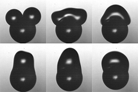 Coalescence of two water drops on a polystyrene particle leads to the launching of the particle away from the supporting substrate. This figure is the same as the cover image for the July 4th issue, and is adapted from Figure 2a of the paper. <br/>CREDIT: Roger L. Chavez/Duke University Coalescence of two water drops on a polystyrene particle leads to the launching of the particle away from the supporting substrate. This figure is the same as the cover image for the July 4th issue, and is adapted from Figure 2a of the paper. Both avi and mov files for this figure are attached.<br/>CREDIT: Roger L. Chavez/Duke University