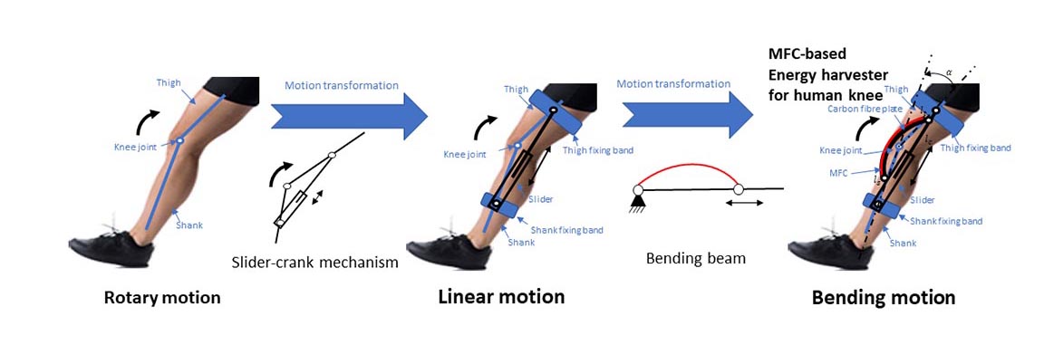 Diagram of the slider-crank mechanism that generates energy during the knee’s motion. CREDIT: Gao et al.