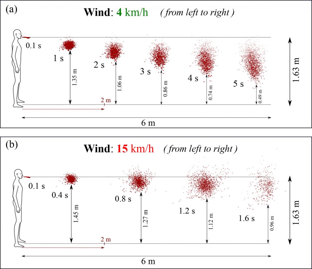 Saliva droplets can travel large distances, depending on environmental conditions such as wind speed, temperature, pressure and humidity. Wind shown blowing left to right at speeds of 4 kph (top) and 15 kph (bottom) can transport saliva droplets up to 6 meters (18 feet). CREDIT: Image courtesy of the authors