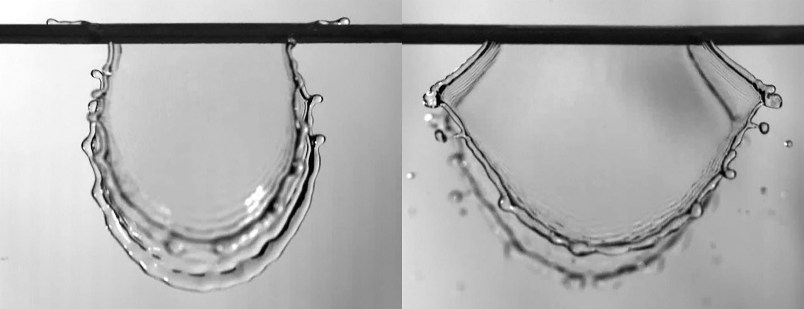 Lobes from 4 meters/second impacting rounded fibers (left) and wedged fibers (right). CREDIT: Lebanoff and Dickerson, UCF