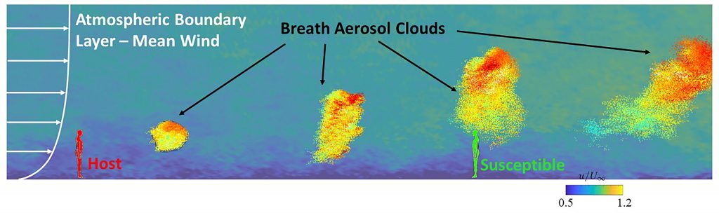 Large-eddy simulation results of the aerosol “clouds” generated by the breathing of an infected host in a turbulent boundary layer. CREDIT: Rajat Mittal, Charles Meneveau and Wen Wu