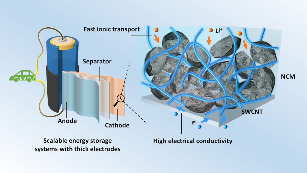 Thick electrodes with single-walled carbon nanotubes (SWCNTs) for scalable energy storage systems CREDIT: Zhengyu Ju and Guihua Yu