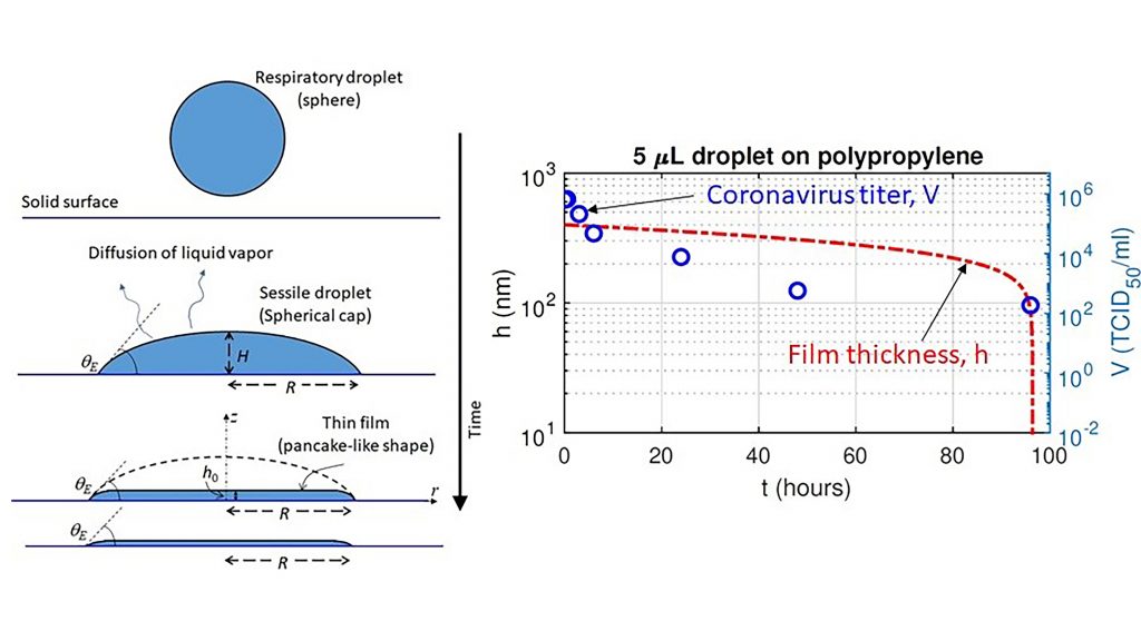 Schematic of a thin liquid film drying on a surface and comparison of time-varying film thickness with a coronavirus titer (the lowest concentration of virus that still infects cells) on plastic. CREDIT: R. Bhardwaj and A. Agrawal