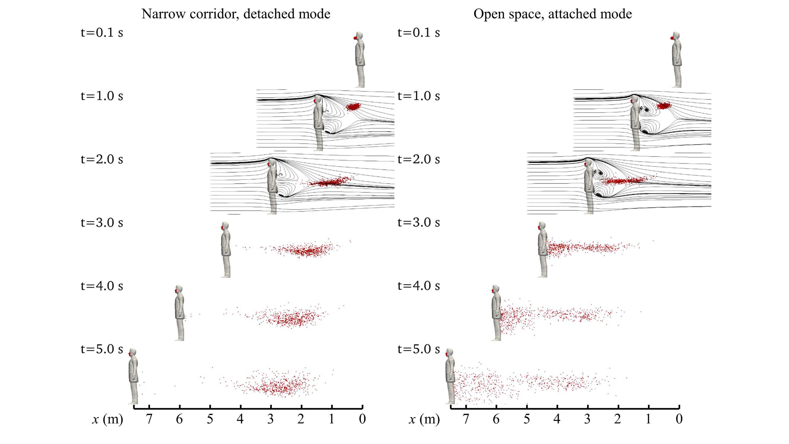In both modes, the cloud of droplets hovers at about half-height of the infected person before reaching the ground, indicating higher risk for children to inhale the droplets. CREDIT: Xiaolei Yang