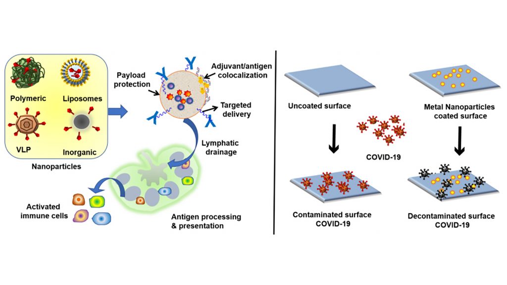 Researchers are studying the ways biomaterials can be used both to strengthen vaccines to fight viruses in the body and to build surfaces that would fight virus cells that landed on them. CREDIT: Sushma Kumari