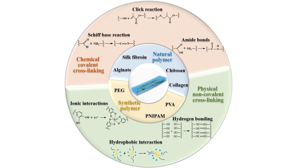 Crosslinking mechanisms and raw materials for various hydrogel wound dressings. CREDIT: Zheng Pan, Huijun Ye, and Decheng Wu