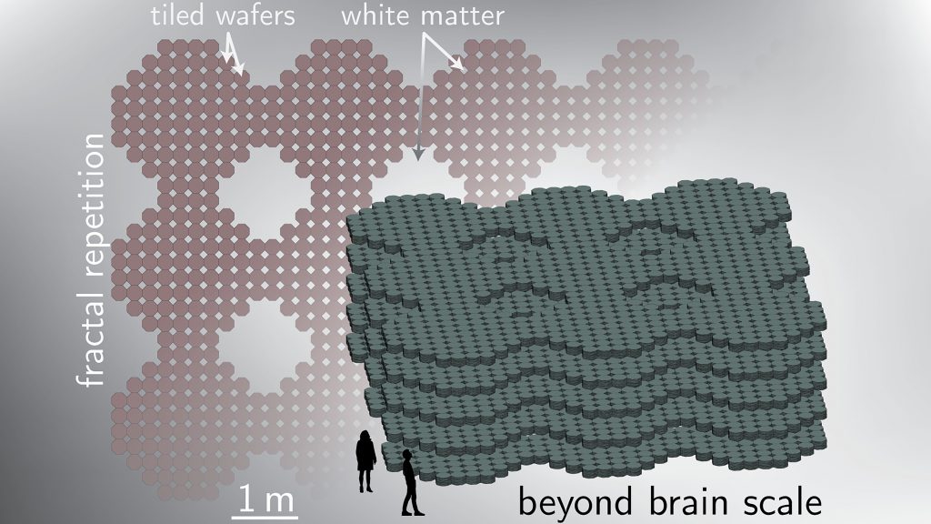 Spatial hierarchy. CREDIT: Jeffrey Michael Shainline
