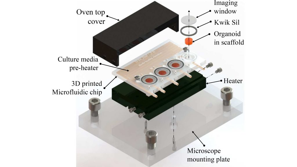 A 3D-printed microfluidic bioreactor for organ-on-chip cell culture CREDIT: Ikram Khan