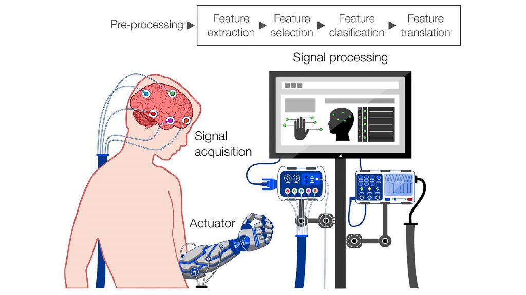 A schematic demonstrates the steps required for eBCI operation. EEG sensors acquire electrical signals from the brain, which are processed and outputted to control external devices. CREDIT: Portillo-Lara et al.