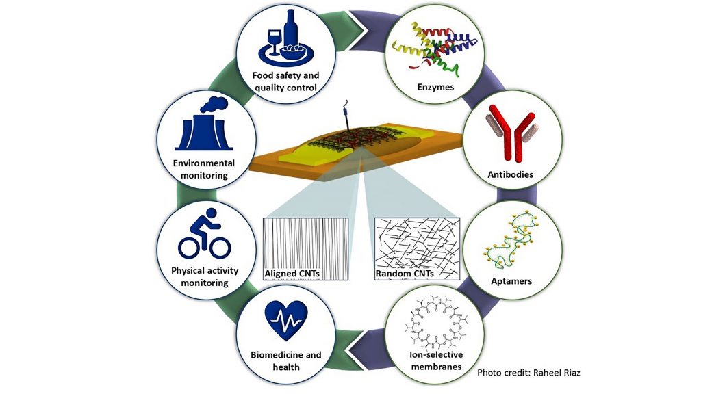 Electrolyte-gated carbon nanotube field-effect transistor-based biosensors show promise for many applications. CREDIT: Raheel Riaz