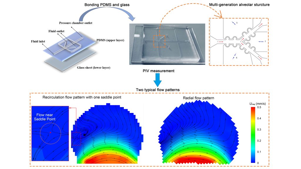 Schematic diagram of the alveolar chip (upper left), photograph of the chip (upper middle), CAD drawing of the multi-generation alveolar structure (upper right), and two typical flow patterns in the alveolar chip (bottom). CREDIT: Yonggang Zhu
