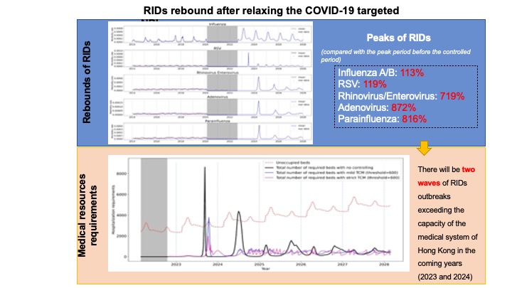 Rebound of respiratory infectious diseases (RIDs) after relaxing COVID restrictions. Credit: Qingpeng Zhang
