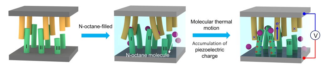 Diagram of yellow tubes hanging down from a gray rectangle interacting with green tubs standing up from another; the yellow and green tubes wave and sway together in the next two diagrams, representing molecular thermal motion.